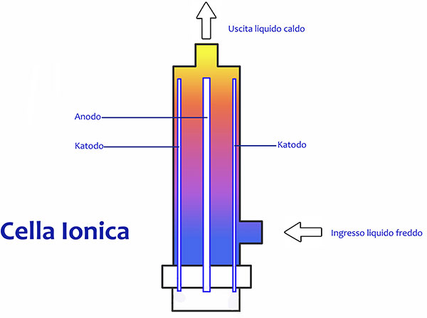 cella ionica disegno